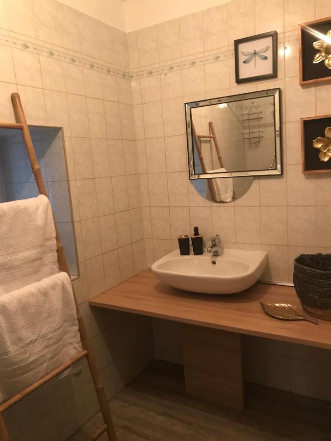 Appartement Cosy Le Safari Avec Wifi Annonay Exterior foto