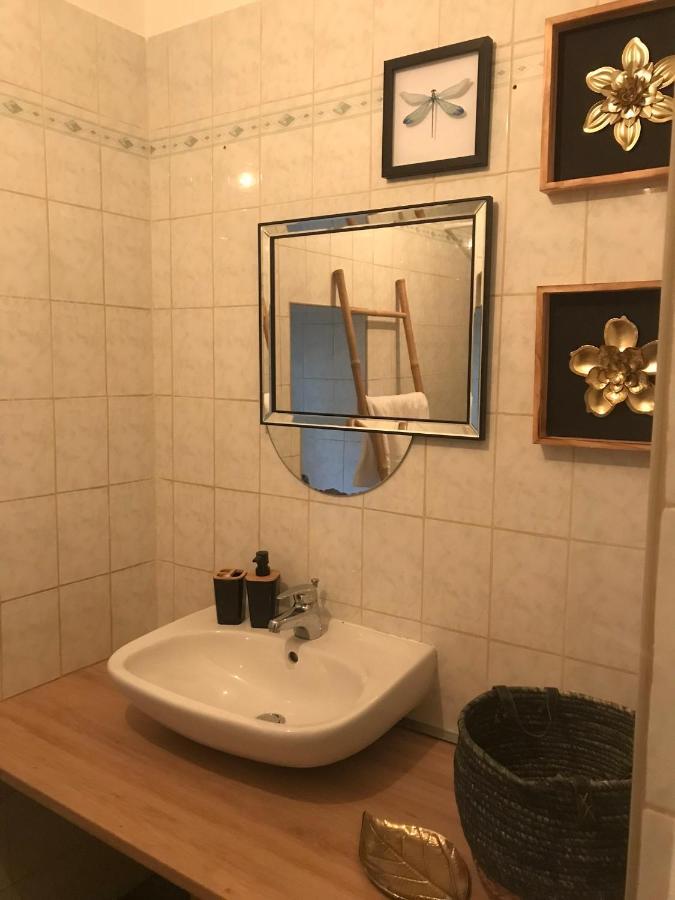 Appartement Cosy Le Safari Avec Wifi Annonay Exterior foto