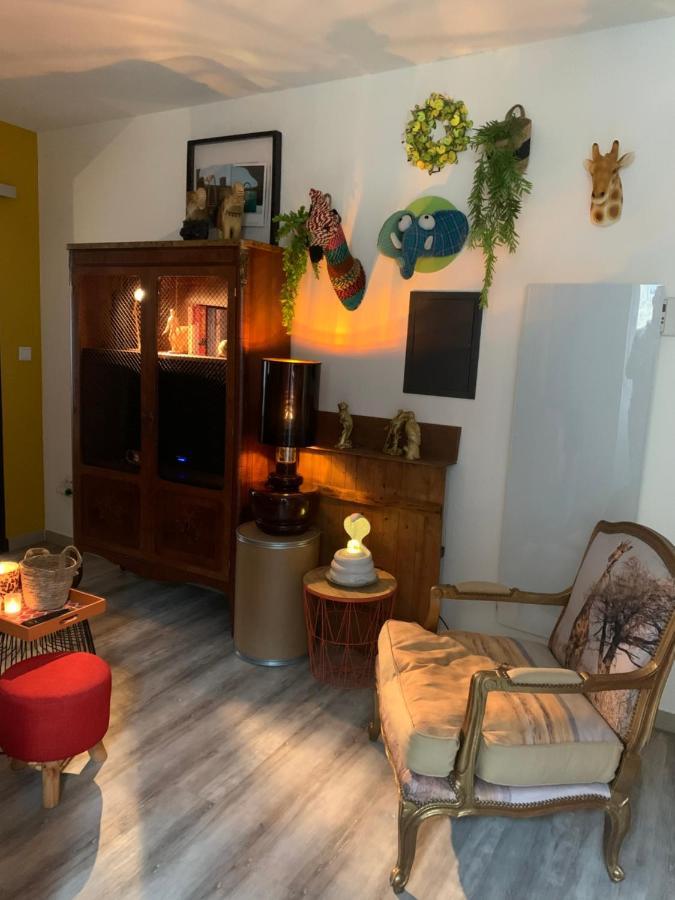 Appartement Cosy Le Safari Avec Wifi Annonay Exterior foto